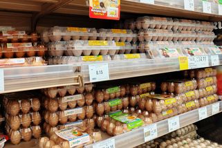 Nejlepší vejce ze supermarketu. Češi vůbec neví, jak je mají poznat, přitom je to úplně jednoduché